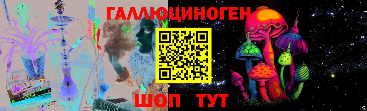 Псилоцибиновые грибы Cubensis  Псилоцибиновые грибы мицелий  Новозыбков  Вход с VPN 